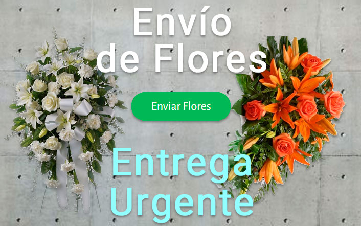Envío de flores urgente a Tanatorio Logroño